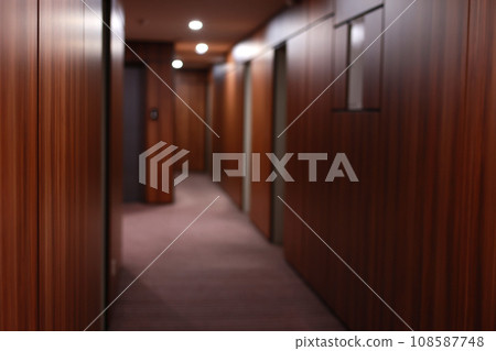 Empty dark interior of the modern Hotel corridor, with wood-paneled walls, elegant carpets and lighting on the ceiling. 108587748