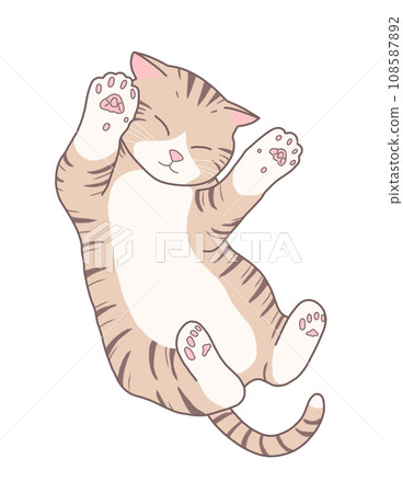 Tabby cat sleeping on his back 108587892