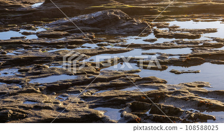 Rocky Shore on the Pacific Ocean Coast. Sunny Sunset. Nature Background Rocky Shore on the Pacific Ocean Coast. Sunny Sunset. Nature Background 108588025
