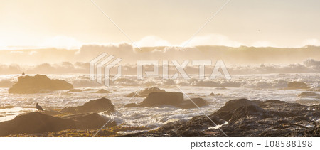 Rocky Shore on the Pacific Ocean Coast. Sunny Sunset. Nature Background Rocky Shore on the Pacific Ocean Coast. Sunny Sunset. Nature Background 108588198