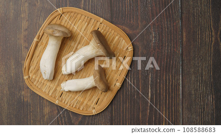 杏鮑菇 杏鮑菇 108588683