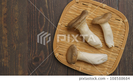 king oyster mushroom 108588684