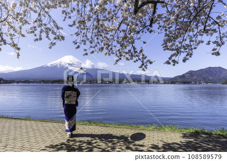 Asian woman wearing japanese traditional kimono at Fuji mountain and cherry blossom, Kawaguchiko lake in Japan. Asian woman wearing japanese traditional kimono at Fuji mountain and cherry blossom, Kawaguchiko lake in Japan. 108589579