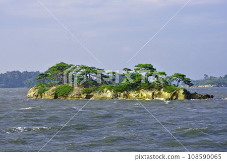 漂浮在松島灣的小島 漂浮在松島灣的小島 108590065