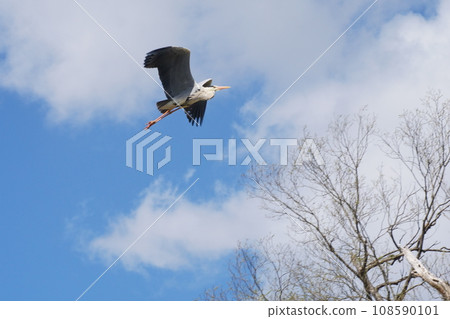 Fly Aoshagi 108590101