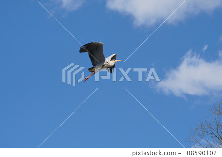 Fly Aoshagi 108590102