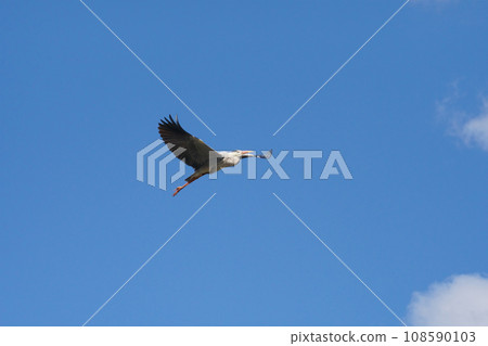 Fly Aoshagi Fly Aoshagi 108590103