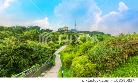 Namsan Park, Seoul, South Korea. A beautiful public natural landmark near N-Seoul Tower 108590824