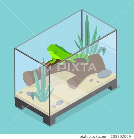 3D Isometric Flat Vector Illustration of Exotic Pets 3D Isometric Flat Vector Illustration of Exotic Pets 108592069