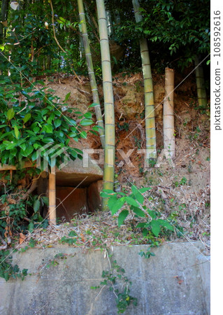 北九州市小倉竹林中的“上長野石棺群” 北九州市小倉竹林中的“上長野石棺群” 108592616
