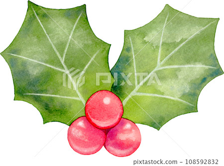 [聖誕節]兩片葉子的西方冬青水彩插圖 108592832