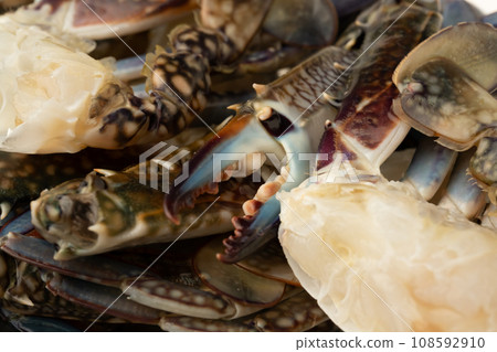 Gazami migratory crab 108592910
