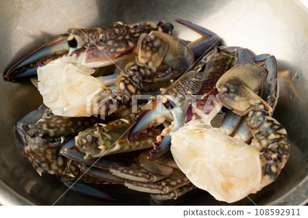Gazami migratory crab 108592911