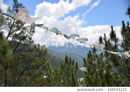 Bhutan, the land of happiness, a landscape with waving Buddhist flags (Lungta/Tarchaw) Bhutan, the land of happiness, a landscape with waving Buddhist flags (Lungta/Tarchaw) 108593225
