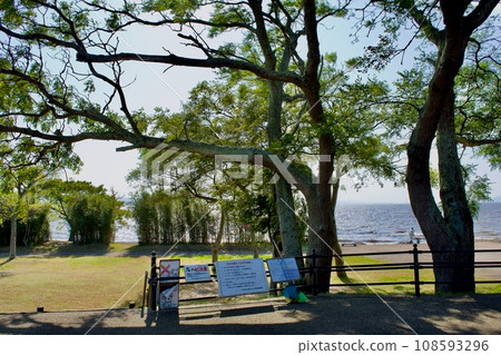相香公園 相香公園 108593296