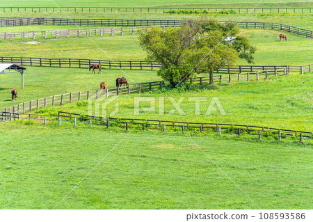 純種銀座停車場 俯瞰純種銀座 108593586