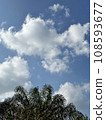 sky 108593677