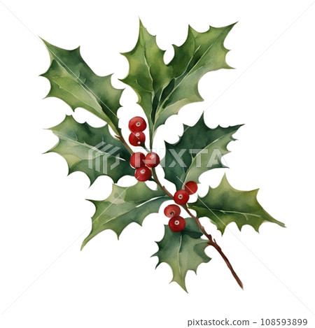 Santa Claus 108593899
