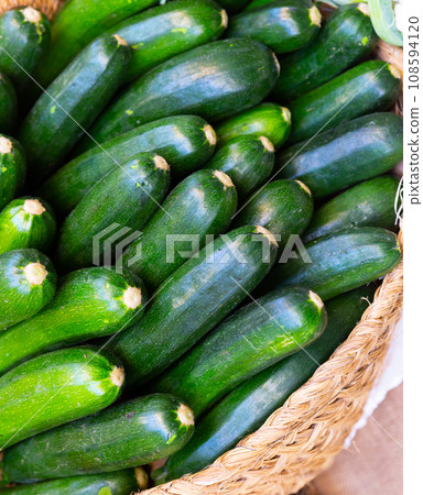 Bunch of ripe green zucchinis in wicker basket 108594120