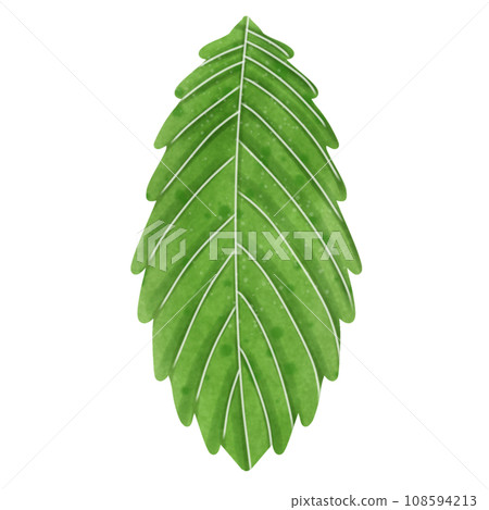 Ferris wheel,circus,funnyman,Amusement park,Christmas,New year 108594213