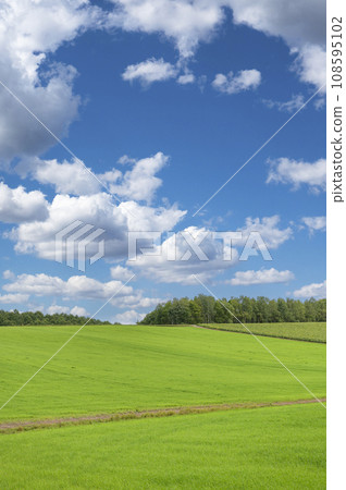 北海道美瑛丘陵(藍天綠草) 北海道美瑛丘陵(藍天綠草) 108595102