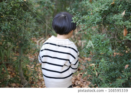 boy walking in the green 108595339