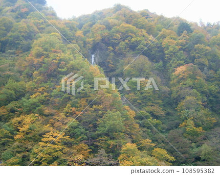 Kurobe Gorge where you can fully enjoy the great outdoors by trolley train 108595382