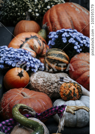Fall Still Life with pumpkins on a front of the house against colorful background in New York City Fall Still Life with pumpkins on a front of the house against colorful background in New York City 108595579