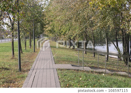 Autumn alley in the city landscape park, Moscow, Yuzhnoye Butovo district. 108597115