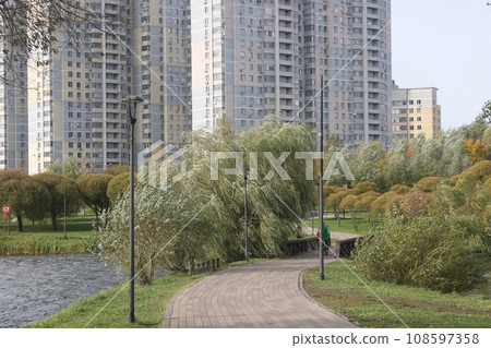 City landscape park in Moscow, South Butovo, October 2023, wind. 108597358