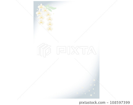 Phalaenopsis background frame that can be used for mourning postcards 108597399