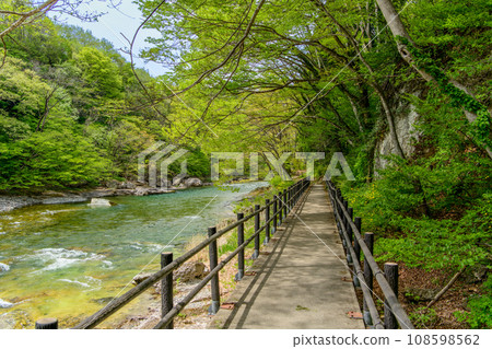 水上町詡訪峽的新綠 水上町詡訪峽的新綠 108598562