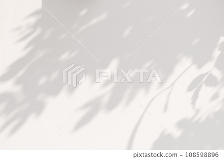 Abstract natural tree leaves on white wall background 108598896