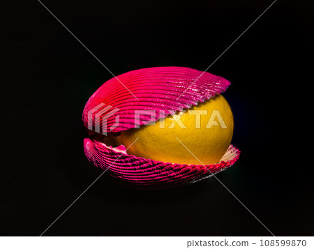 Composition with lemon and shells on a black background 108599870
