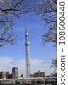 從墨田公園眺望東京晴空塔和盛開的櫻花 108600440