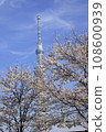 東京晴空塔從盛開的櫻花中探出頭來，持續7分鐘 108600939