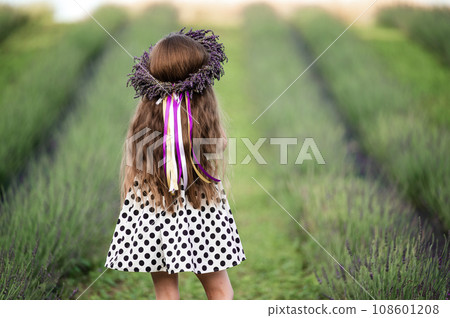 A small and beautiful girl walks in a park with a lavender field 108601208