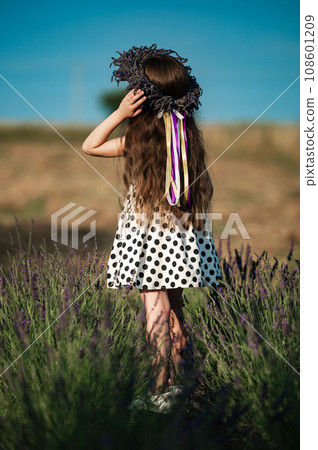 A small and beautiful girl walks in a park with a lavender field 108601209