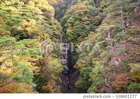 Fudo Falls, view from Fudo Ohashi Bridge, autumn leaves season Fudo Falls, view from Fudo Ohashi Bridge, autumn leaves season 108601277