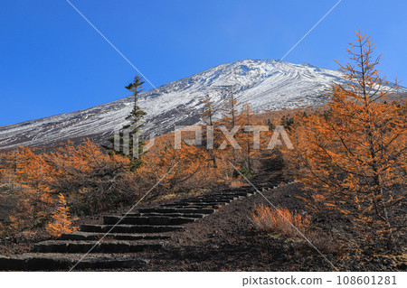 從花園看到的黃葉和富士山 108601281