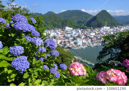Shimoda Park, Shimoda City, Shizuoka Prefecture: Hydrangeas from Izu's famous hydrangeas and views of Shimoda Fuji and Shimoda city 108601290