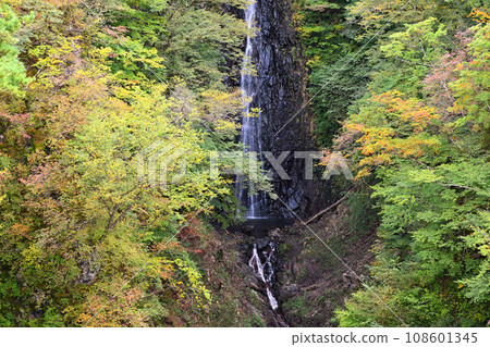 Fudo Falls, view from Fudo Ohashi Bridge, autumn leaves season 108601345