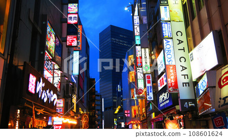Night view of the downtown area near Sakaemachi Street in Ikebukuro (Toshima Ward, Tokyo) 108601624