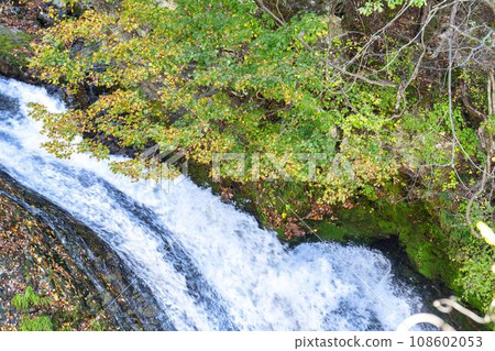 Scenery of autumn leaves Sekiyama Falls in autumn Higashine City, Yamagata Prefecture Scenery of autumn leaves Sekiyama Falls in autumn Higashine City, Yamagata Prefecture 108602053