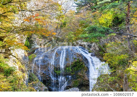 Scenery of autumn leaves Sekiyama Falls in autumn Higashine City, Yamagata Prefecture Scenery of autumn leaves Sekiyama Falls in autumn Higashine City, Yamagata Prefecture 108602057