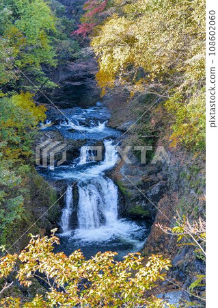 Autumn leaves and Houmei 48 Waterfalls Sendai City, Miyagi Prefecture 108602060