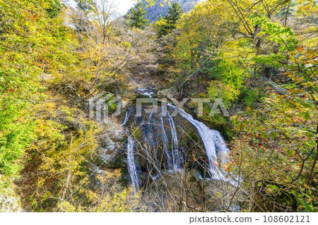 Scenery of autumn leaves Sekiyama Falls in autumn Higashine City, Yamagata Prefecture Scenery of autumn leaves Sekiyama Falls in autumn Higashine City, Yamagata Prefecture 108602121