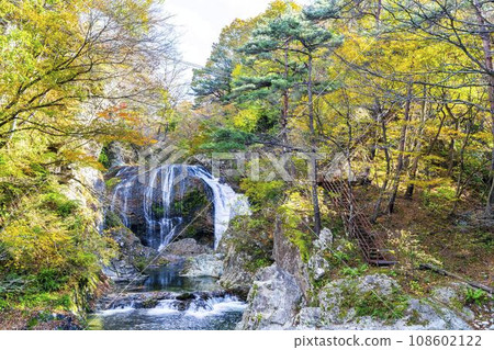 Scenery of autumn leaves Sekiyama Falls in autumn Higashine City, Yamagata Prefecture Scenery of autumn leaves Sekiyama Falls in autumn Higashine City, Yamagata Prefecture 108602122