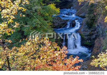 Autumn leaves and Houmei 48 Waterfalls Sendai City, Miyagi Prefecture 108602131