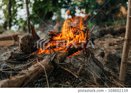 fire in nature . bokeh from the fire . blurred backgrounds . Space views. 108602139